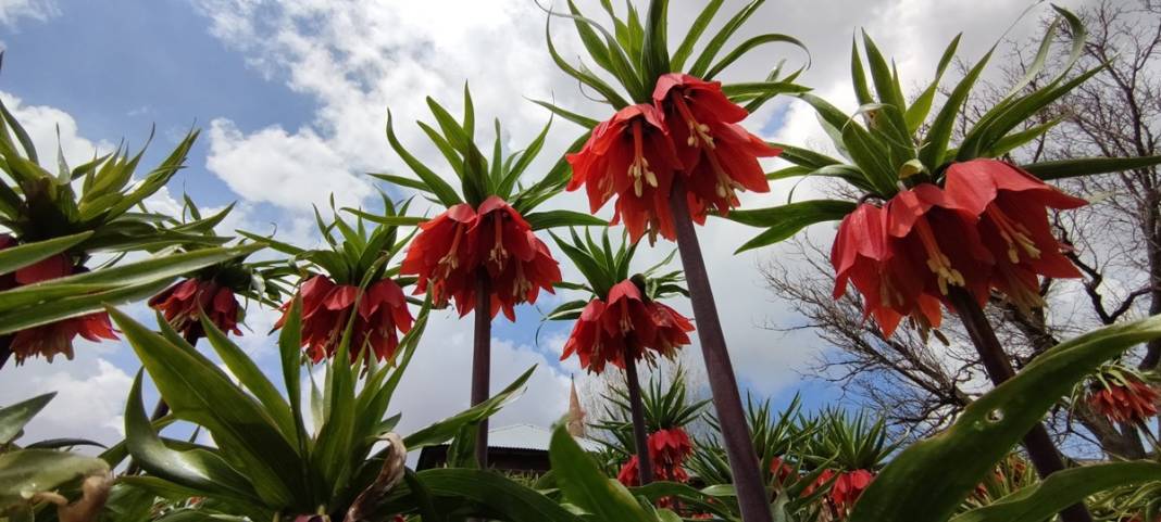 Bu insanlar neye bakıyor? Gece-gündüz nöbet tutuyorlar, ilk kez görenler şaştı kaldı! 44